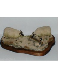 Early Lambs| Late Snow Was £325