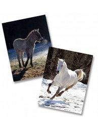 Horsey Christmas Card (pk 10) 5 Each Of 2 Designs