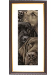 Grouse Logistics Ltd Framed Print