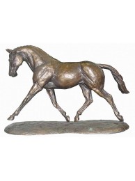 Bronzed Trotting Warm Blood