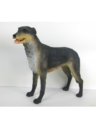 Irish Wolfhound - Grey