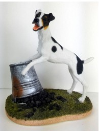 Jack Russell On Bucket