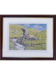 Wrong Side Of The Fence Framed Print