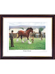 Showday At Darrowby Framed Print