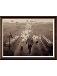Shepherding The Sheep Framed Print