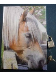 Lockable Notebook Pony Drinking