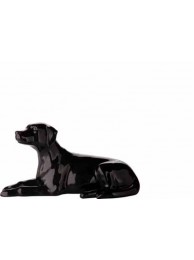 Labrador Bitch Lying Black