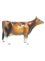 Jersey Cow