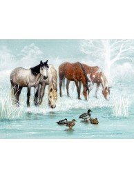 Christmas Card - Frosted Pond By Sue Warner For The Rda (pack 10) 175mm X 130mm