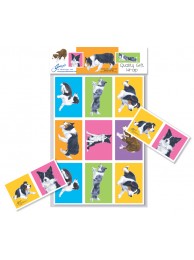 Collie Gift Wrap Border Collie