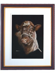 Goliath Framed Print Large