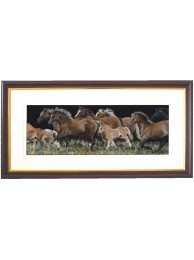 Only Foals And Horses Framed Print