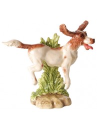 Springer Spaniel Bryn Parry