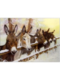 Christmas Card - Donkey Friends By Sue Warner For The Rda (pack 10) 175mm X 130mm