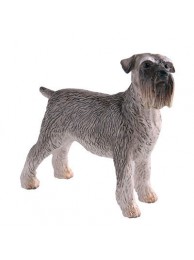 Schnauzer