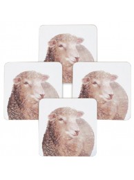 Sheep Coasters