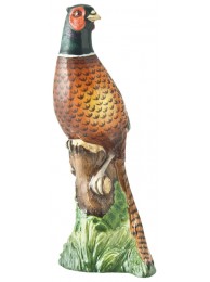 Cock Pheasant