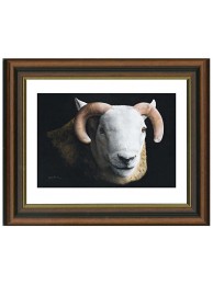 Mr Robson Framed Print By Angela Davidson  Le 395