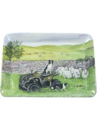 Quad Bike Scatter Tray