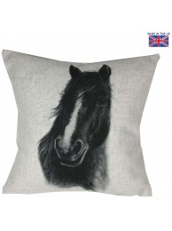 Friends Stormy Cushion