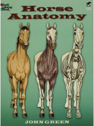 Horse Anatomy Colouring Book