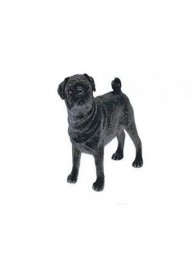 Pug Black