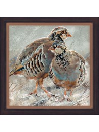 Red Legged Partridge Framed Print