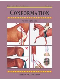 Book Tpg19 Conformation