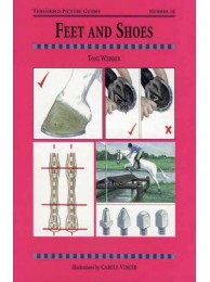 Book Tpg16 Feet & Shoes