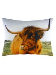 Highland Cow Velvet Cushion