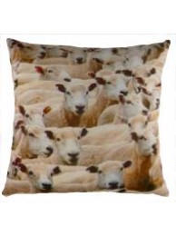 Sheeps Velvet Cushion