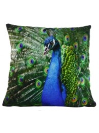 Peacock Velvet Cushion