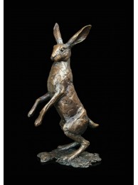 Medium Hare Standing