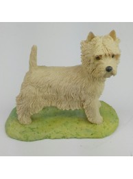 West Highland Terrier