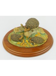 Hedgehogs (secondary)