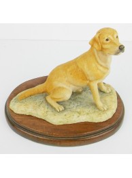 Golden Lab Sitting (secondary)