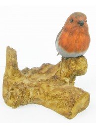 Robin On Log