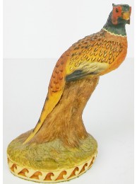 Sitting Pheasant