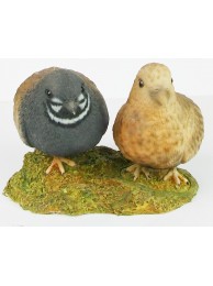 Pair Of Quails