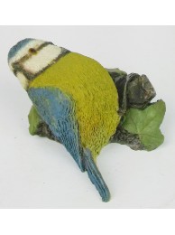 Blue Tit (small)