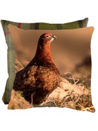 A Room With A View Cushion With Tweed Reverse