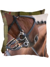 Straight From The Horses Mouth Cushion With Tweed Reverse
