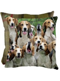 Boy's Night Out Cushion With Tweed Reverse