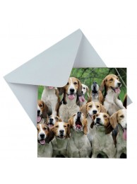 Card Boy's Night Out