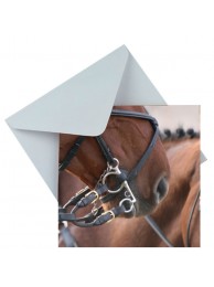 Card Straight From The Horses Mouth