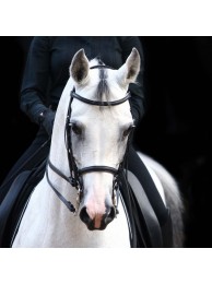 Concentrate Canvas Print