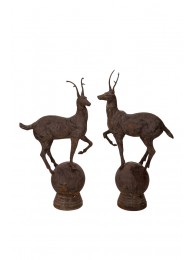 Pair Of Deer On Ball
