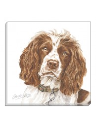 Canvas Print Waggygogz Springer Spaniel