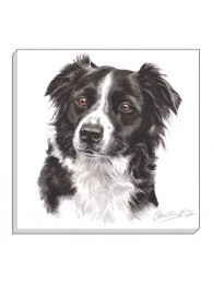 Canvas Print Waggygogz Border Collie