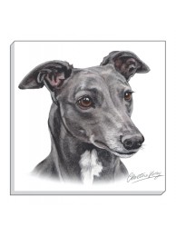 Canvas Print Waggygogz Greyhound